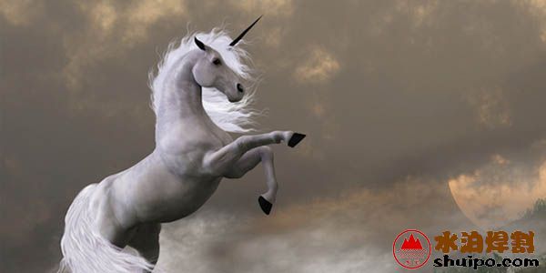 機(jī)器人或自動化企業(yè)將有可能成為行業(yè)的獨角獸